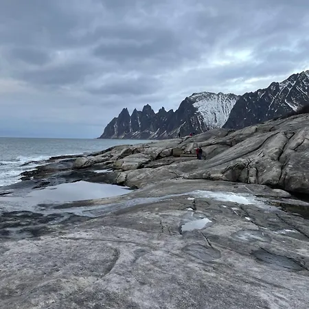 Campsite Camp Fjordbotn Galnslatta