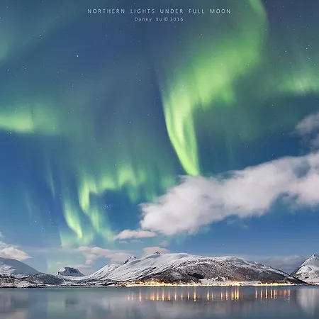 Campsite Camp Fjordbotn Galnslatta