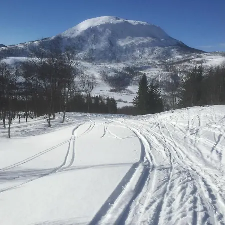 אתר קמפינג Camp Fjordbotn Galnslåtta