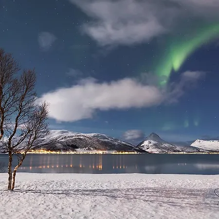 Camp Fjordbotn Galnslåtta